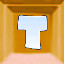 T2