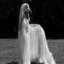 Afghan hound