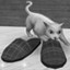 Target: slippers