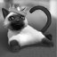 Great cat awards