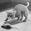 Nice mice