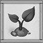 Novice farmer
