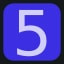 Level 5