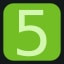 Level 5