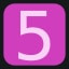 Level 5