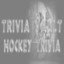 Super Trivia Champion 