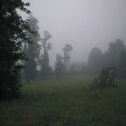Melancholy