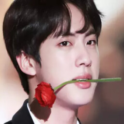 jin bts celebrity