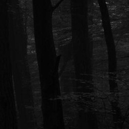 the path 13