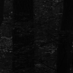 the path 1