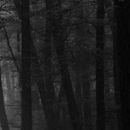 the path 12