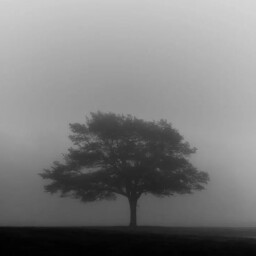 Melancholy