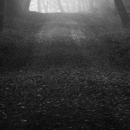 the path 18