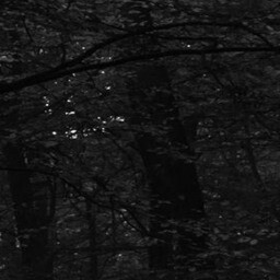 the path 7