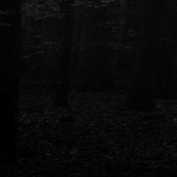 the path 16