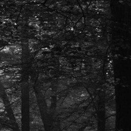 the path 5