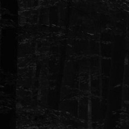 the path 9