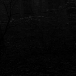 the path 21