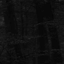 the path 14