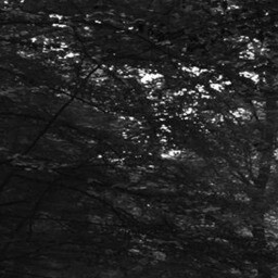 the path 4