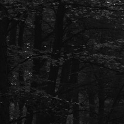 the path 3