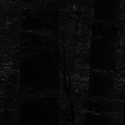 the path 8