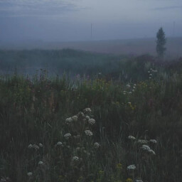 Melancholy