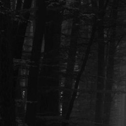 the path 10
