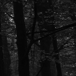 the path 6
