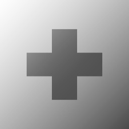 Chief Physician