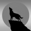 The Mountain Wolf