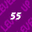 Player Level 55
