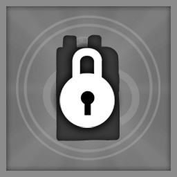Security Flaw