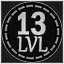 LEVEL 13