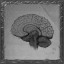Grey Matter At Work