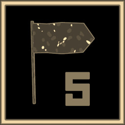 5 flags