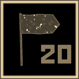 20 flags