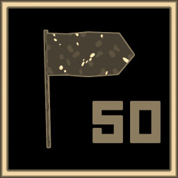 50 flags