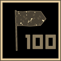 100 flags