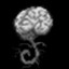 Mind over Matter