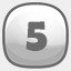 Level 5