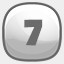 Level 7