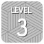 Level 3