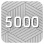 The 5000