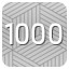 The 1000