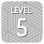 Level 5