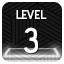 Level 3