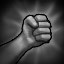 Fist Fighter