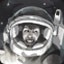 Greetings, Earth Citizens