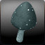 Magic Shrooms